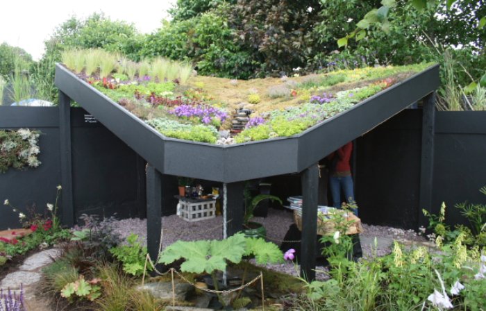 green roofed shed